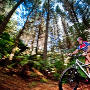 Cycling in the forest